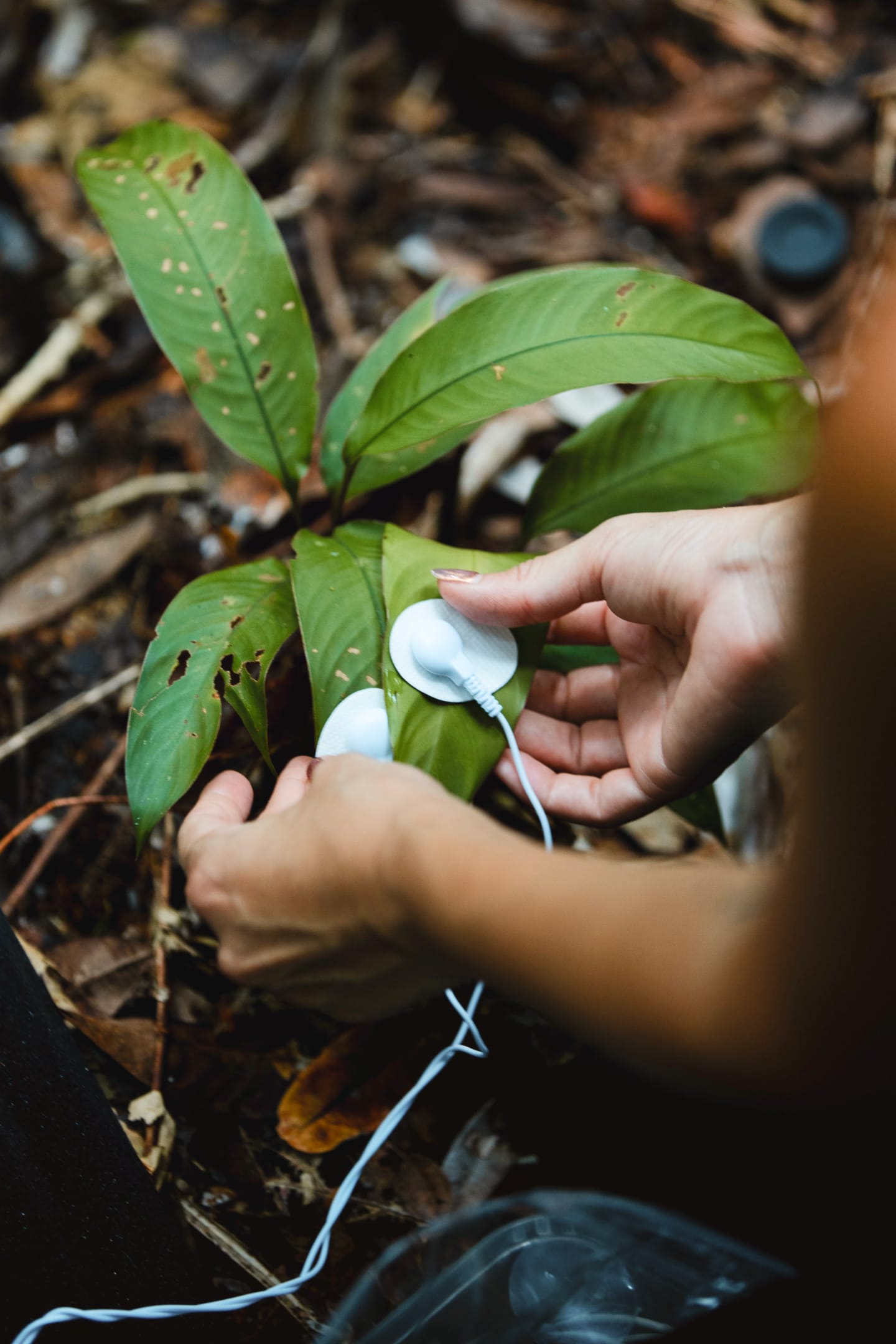 vn_projects_toscano_02