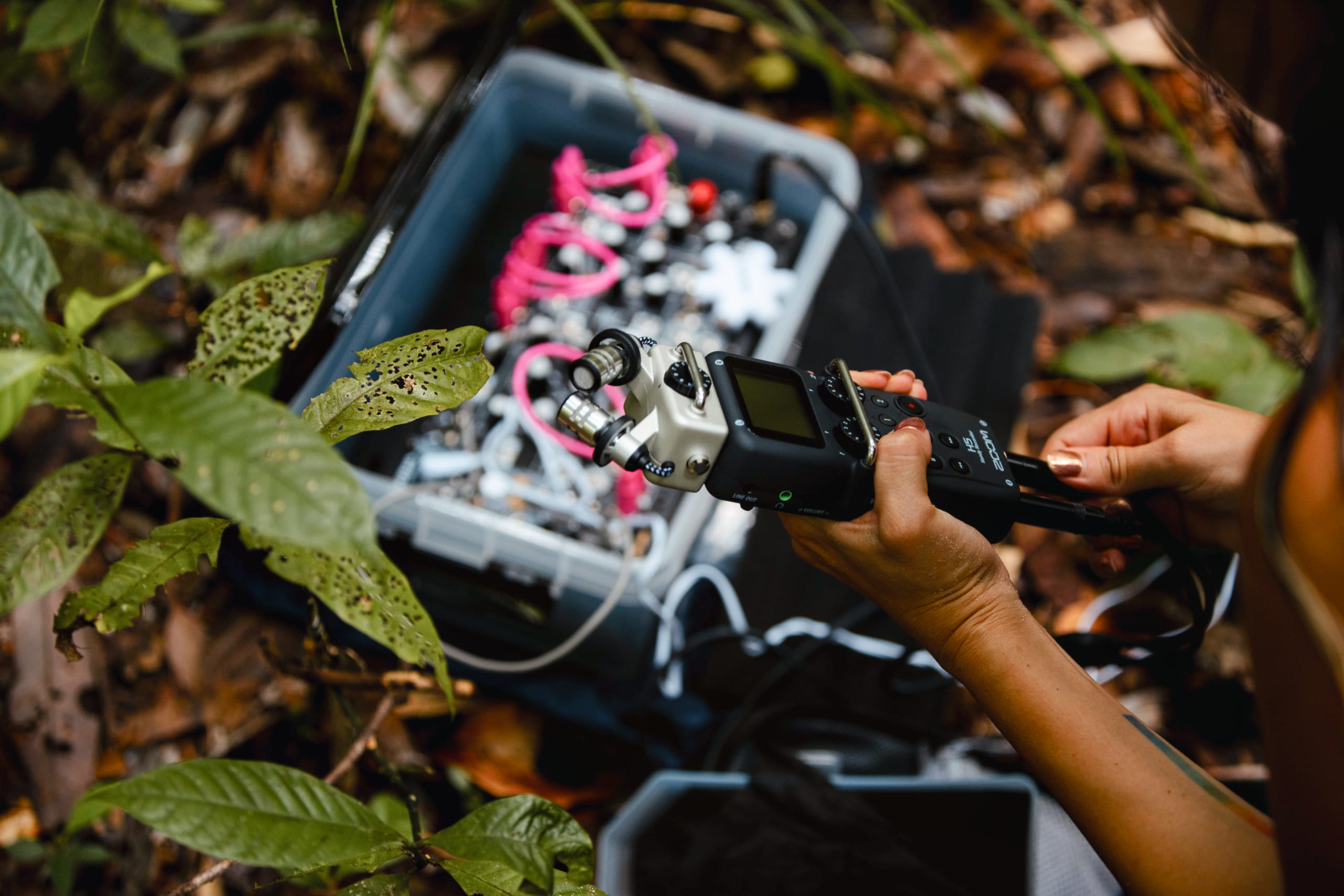 vn_projects_toscano_04